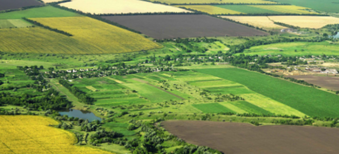 Fırsatçılar hazine arazilerinde yakalandı