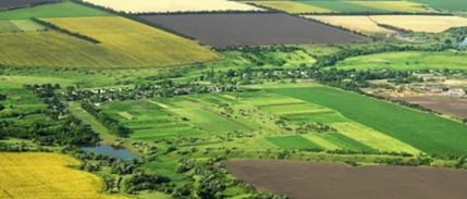Fırsatçılar hazine arazilerinde yakalandı