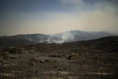 Fransa'da 116 bin hektar alan kül oldu