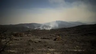 Fransa'da 116 bin hektar alan kül oldu