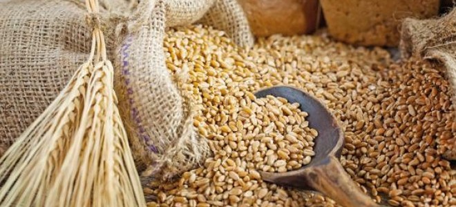 Gıda Sürdürülebilirliği Medya Ödülleri İkinci Kez Düzenleniyor