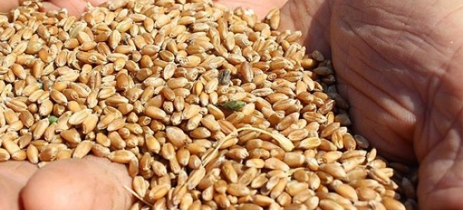 Gıda Sürdürülebilirliğinde Türkiye 15’inci Oldu