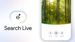 Google kamera odaklı arama dönemini dünya genelinde başlattı