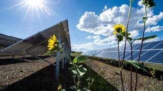 Güneş enerjisine dayalı YEKA'da 6 il için en iyi teklifler belli oldu