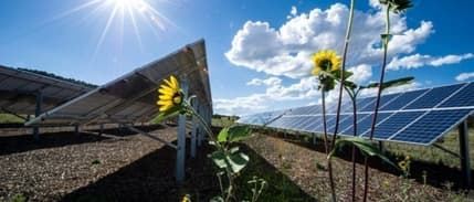 Güneş enerjisine dayalı YEKA'da 6 il için en iyi teklifler belli oldu