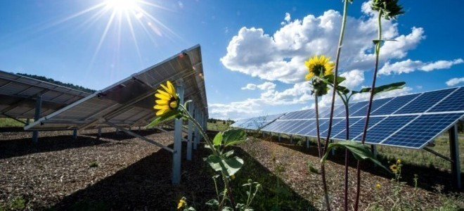 Güneş ve rüzgar enerjisinde kapasite tahsisi için 16 yarışma yapılacak