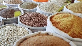 Güneydoğu'nun hububat ihracatı 2025 yılında 3,6 milyar dolara ulaştı