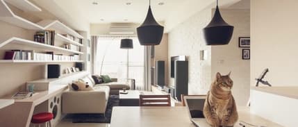 'Günlük kiralık' daireler için yeni düzenleme yolda: Ruhsat almayanlar evini kiralayamayacak