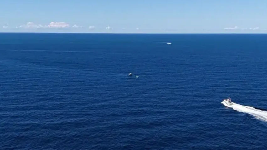 Gürcistan’dan kalkan uçak Rize'de denize acil iniş yaptı