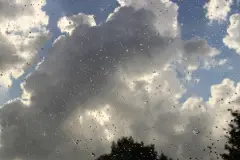 Hafta sonu plan yapanlara Meteoroloji'den kritik uyarı