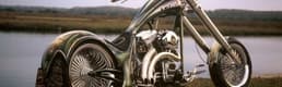 Harley Davidson Müdürü: 
