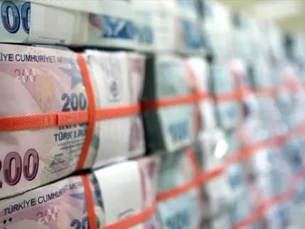 Hazine iki ihalede 95,3 milyar TL borçlandı