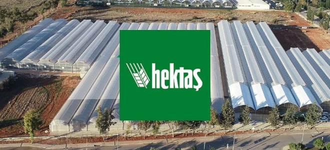 Hektaş sürdürülebilirlik derecelendirmesinde dünya ikincisi oldu