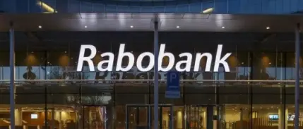 Hepsiburada'yı alan şirketin Rabobank satın almasına BDDK onayı