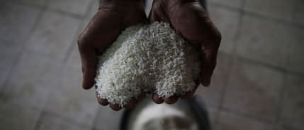 Hindistan'dan küresel arzı daraltacak yeni hamle: Pirinç ihracatının kısıtlanması planlanıyor