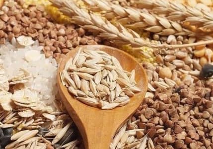Hububat ve bakliyat ihracatı 11,9 milyar dolara ulaştı