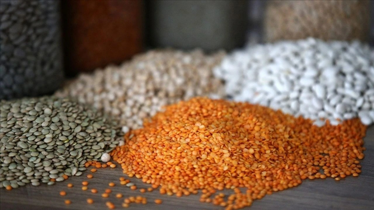 Hububat ve bakliyat ihracatı yılın ilk iki ayında 1,9 milyar dolara ulaştı