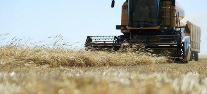 Hububatta mazot ve gübre destekleri erken ödenecek