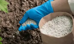 Hürmüz Boğazı'ndaki kriz gübre fiyatlarını tırmandırdı