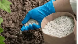 Hürmüz Boğazı'ndaki kriz gübre fiyatlarını tırmandırdı