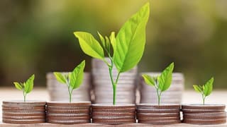 IFC'den Türkiye'ye 1.1 Milyar Dolar Uzun Vadeli Yatırım