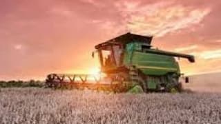 IGC: Küresel Mısır Üretimi 2018/19’Da 19 Milyon Ton Artacak