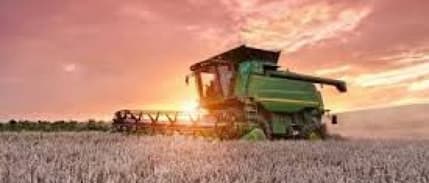 IGC: Küresel Mısır Üretimi 2018/19’Da 19 Milyon Ton Artacak