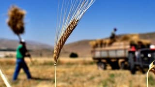 IGC: Küresel Soya Fasulyesi Üretimi 2018/19’Da 28 Milyon Ton Artacak