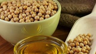 Igc Küresel Soya Üretiminde 13 Milyon Ton Artış Bekliyor