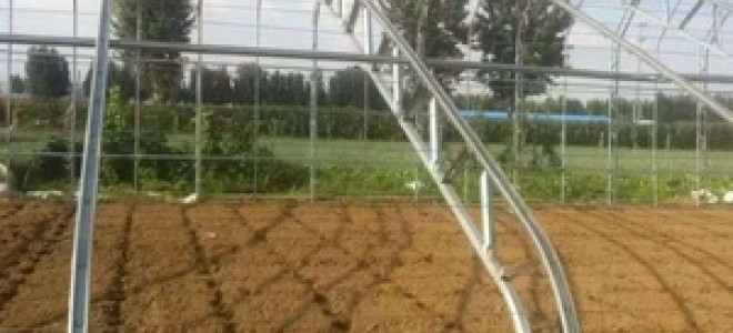 İhracatın parlayan yıldızı süs bitkileri oldu