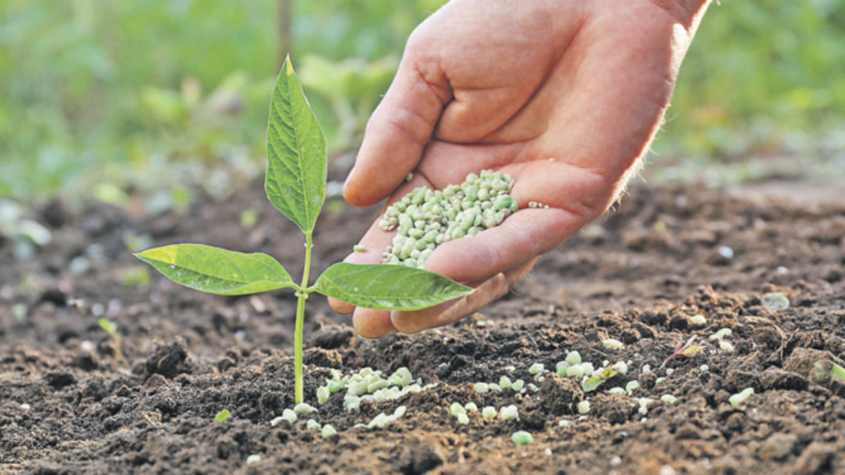 İki gübre çeşidinde daha gümrük vergisi sıfırlandı