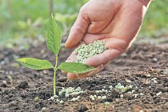 İki gübre çeşidinde daha gümrük vergisi sıfırlandı