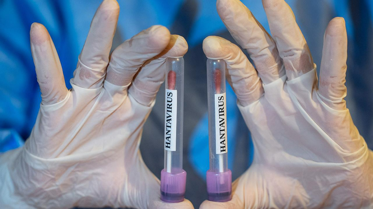 İlaç şirketleri hantavirüs için aşı çalışmalarına başladı