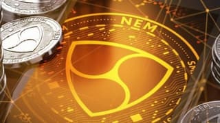 İlk 100 Kripto Paradan 99'u Düştü, NEM Yükseldi 