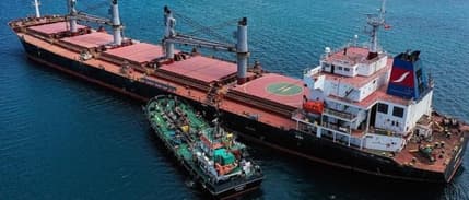 IMF: Karadeniz girişiminin duraklaması tahıl fiyatlarını yüzde 15'e kadar artırabilir