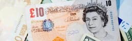İngiltere halkı paranın üzerinde doğa figürlerini istiyor