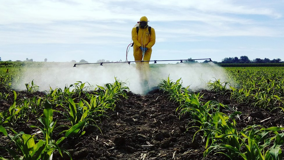 İran savaşı ve yükselen petrol fiyatları pestisit maliyetlerini vurdu