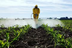 İran savaşı ve yükselen petrol fiyatları pestisit maliyetlerini vurdu