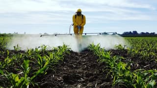 İran savaşı ve yükselen petrol fiyatları pestisit maliyetlerini vurdu