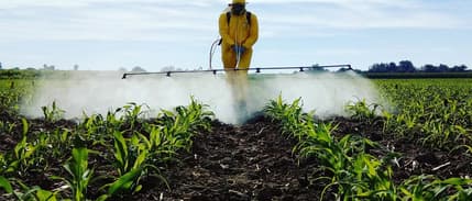İran savaşı ve yükselen petrol fiyatları pestisit maliyetlerini vurdu