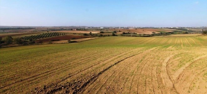 İşlenmeyen tarım arazilerinde ilk kiralamalar kasımda başlayacak