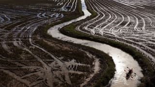 İspanya'da sel felaketi 650 bin tonluk tarım ürününü yok etti