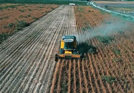 Büyükbaşın yüzde 56’sı, çiftçinin yüzde 26’sı sigortalı