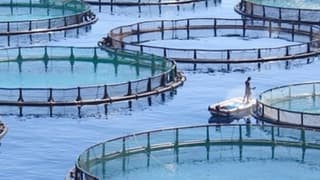 İstanbul Su Ürünleri İhracatçılarının Yeni Başkanı Müjdat Sezer