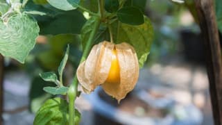 İstanbul Ticaret Borsası'nda bu ayın gündemi 