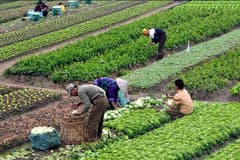 İTB Başkanı Kestelli: Üreticilerin çıkış yolu organik tarım