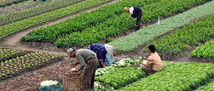 İTB Başkanı Kestelli: Üreticilerin çıkış yolu organik tarım