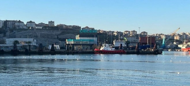 İthal hayvanları taşıyan ilk gemi Bandırma'ya yanaştı: Hedef, 600 bin angus ithalatı