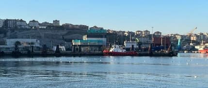 İthal hayvanları taşıyan ilk gemi Bandırma'ya yanaştı: Hedef, 600 bin angus ithalatı