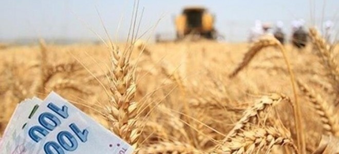 İyi Tarım ve Organik Tarım Destek Ödemeleri yarın başlıyor